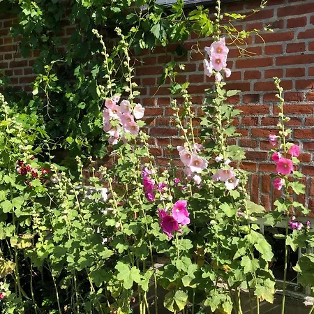 Esmaralda's Vaerlose (Copenhagen)